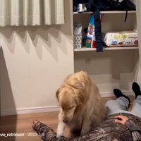 温もりを確かめるイヴちゃん