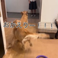 娘さんの帰宅