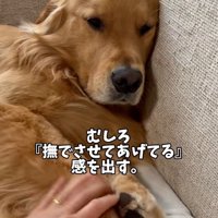ドヤ顔のアルトくん