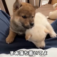 微笑ましい光景♡