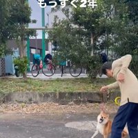 ぽんた君の変化