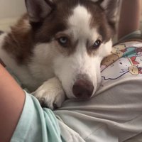 お姉ちゃんに甘えるウルくん
