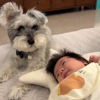 頼もしいベビーシッター