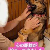 徐々に表情が柔らかくなってきた