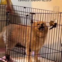 撫でられてニッコリ♪