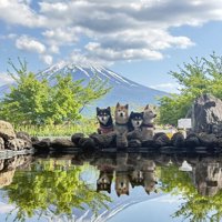 日本の宝