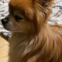 「毎日幸せだなあ…」