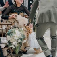 きなこちゃんがリングドッグに挑戦7