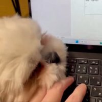 パソコン