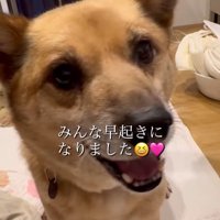 おふとん君の変化⑩