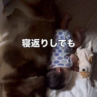 寝がえりを打っても…