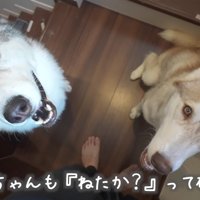 ちゃんと寝てるかな？