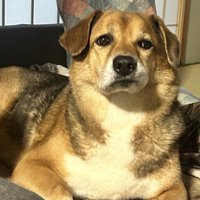 絶対に不満がある表情！