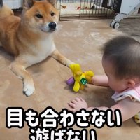 存在を認めないロックくん