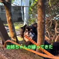 まる君とお姉ちゃんの再会2