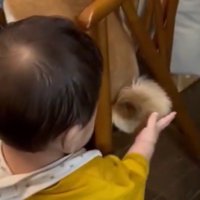 ふわふわ…！