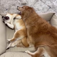 一緒に使うことに♡