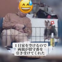 両親に犬を預けたら…