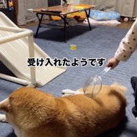 検査は続く…