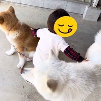 ワンコが好きな男の子