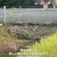 危険な山生活から救いたい