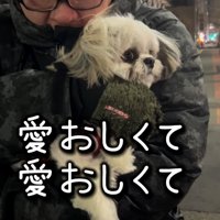 寒そうに抱っこされている犬