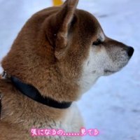 雪が降る寒い日も…