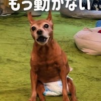 突然、歩けなくなった