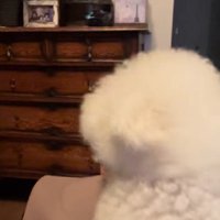 久々の再会に喜んでいる一幕でした