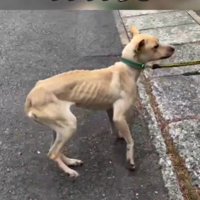 背後を取られたくない