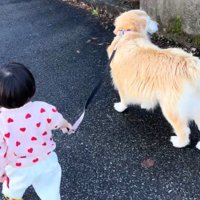 女の子とベルちゃんのお散歩3