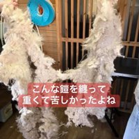 カットした毛はこんなにも…