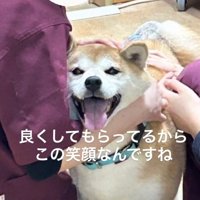 良くしてもらったまるちゃん