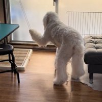 お手々に紐が！