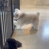 「置いて行かないで～」