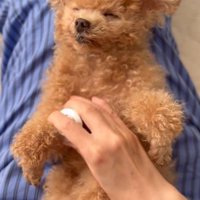 マッサージでリラックス