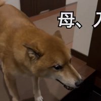 熱烈大歓迎！