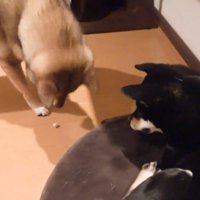 譲ってくれました♪