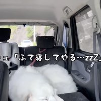 違いすぎる態度