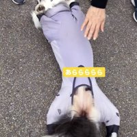 一瞬でへそ天！