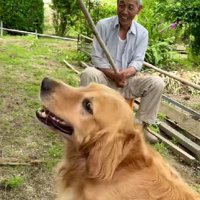 投稿主さんも爆笑♪