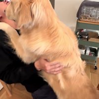 ずっしりとした愛情