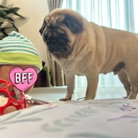 もち丸くんと赤ちゃんの日常3