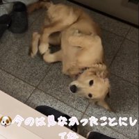 「今のは見なかったことに…」