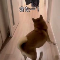 お姉ちゃんを熱烈歓迎するけいちゃん4