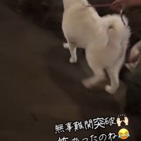 軽快に歩き出しました♪