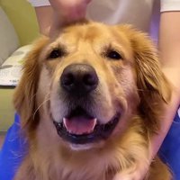 笑顔のベイリーちゃん