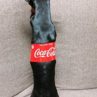 お耳が付いている！！