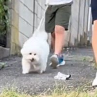 地面に落ちた男性のハンカチ