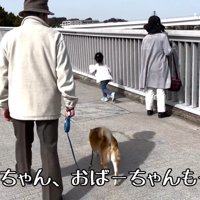 テーマパークにやってきました♪